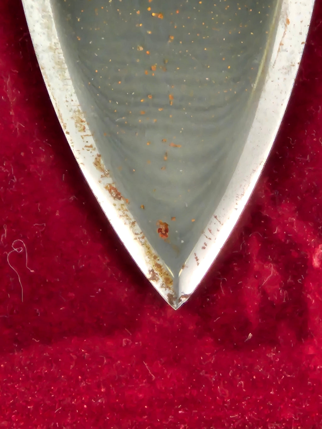 "The Treasure of the Griffin Dagger"