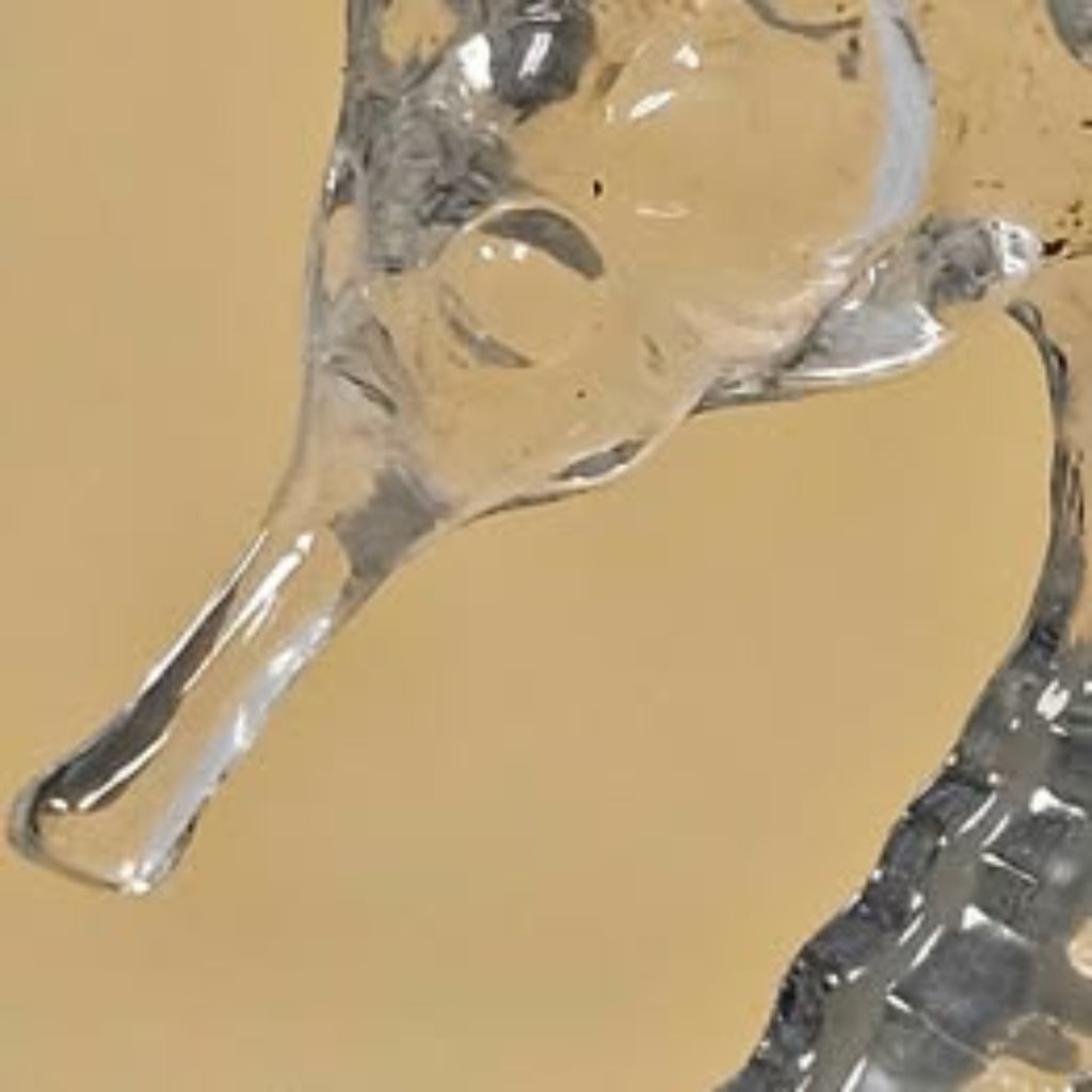 Cristal d'Arques Seahorse Figurine